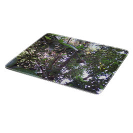 Tabla De Cortar Árbol de aguacate