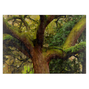 Tabla De Cortar Árbol de roble