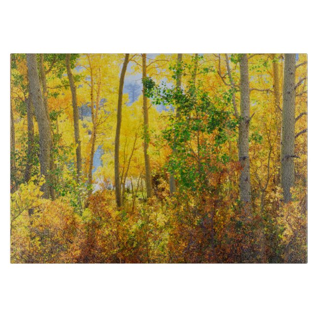 Tabla De Cortar Árboles áridos en otoño| Sierra Nevada, CA (Anverso)