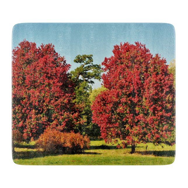 Tabla De Cortar Árboles de arce en otoño - tablero de cristales (Anverso)