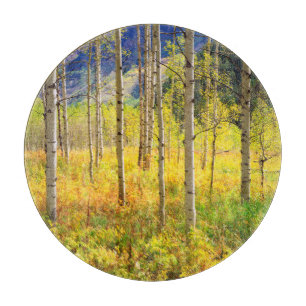 Tabla De Cortar Árboles de Aspen en Otoño en las Montañas Rocosas