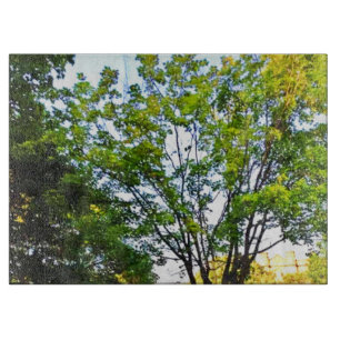 Tabla De Cortar Árboles En El Parque De Ottawa. ¡Hazte con una en