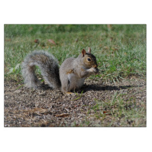 Tabla De Cortar Ardilla Snacking