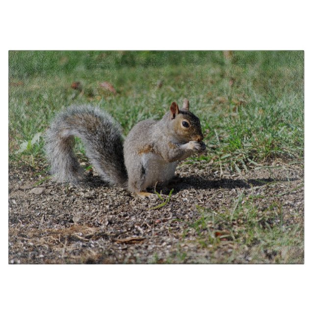 Tabla De Cortar Ardilla Snacking (Anverso)