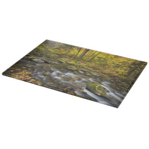 Tabla De Cortar Arroyo Sanderson. Bosque Estatal Chester-Blanford.