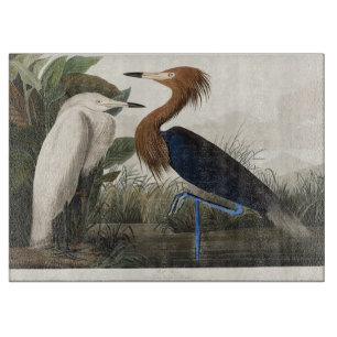 Tabla De Cortar Arte de ave garceta rojiza vintage de Audubon