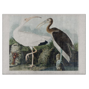 Tabla De Cortar Arte de la naturaleza del ibis blanco de Audubon v