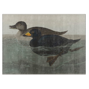 Tabla De Cortar Arte de pato americano scoter vintage de Audubon