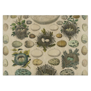 Tabla De Cortar Arte de pintura de nido de huevo de pájaro vintage