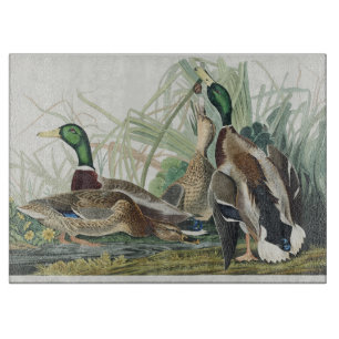 Tabla De Cortar Arte de vida silvestre de pato silbón de Audubon v