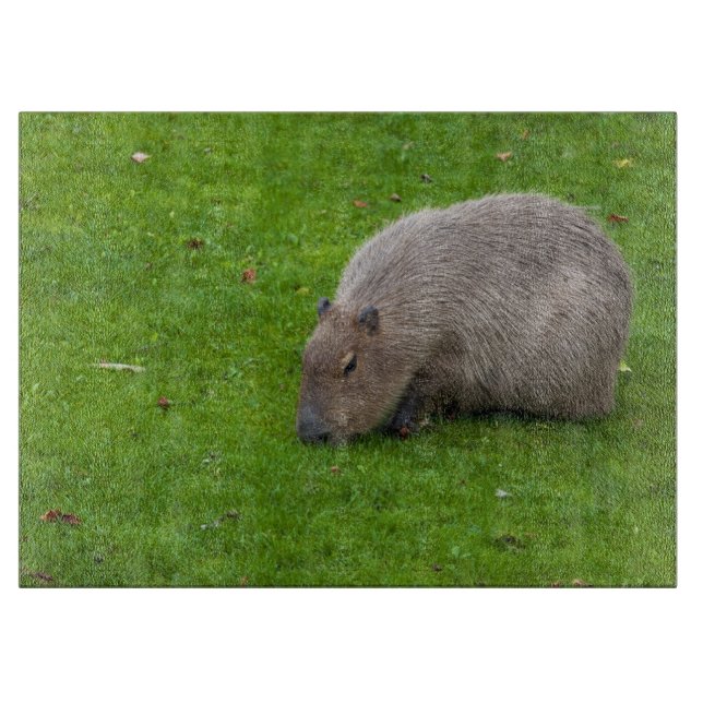Tabla De Cortar Asombroso capibara animal (Anverso)