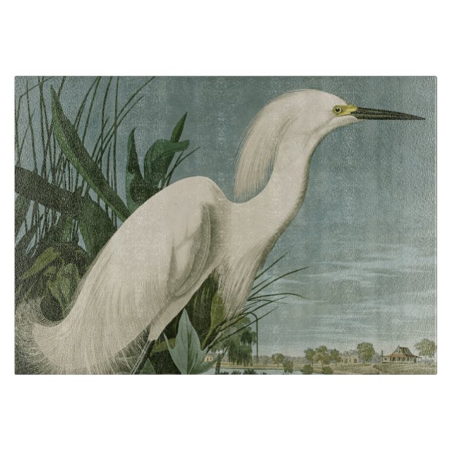 Tabla De Cortar Audubon Snowy Heron White Egret Bird Birding (Anverso)