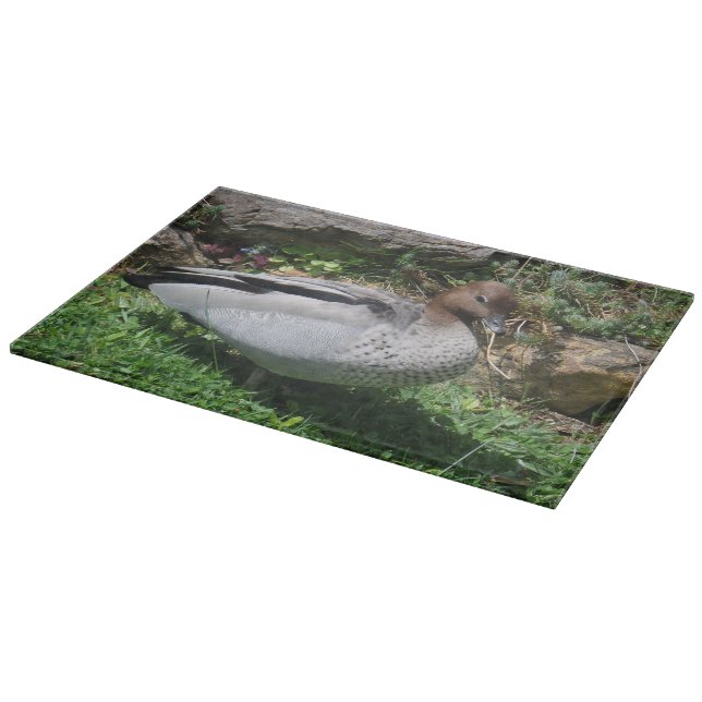 Tabla De Cortar Australian Wood Duck in Tranquil Garden (Borde)