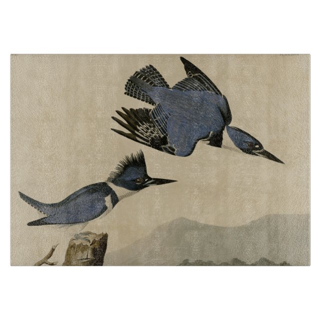 Tabla De Cortar Ave salvaje Audubon Belt Kingfisher (Anverso)