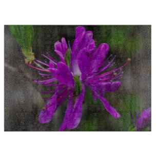 Tabla De Cortar Azalea nativa
