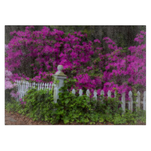 Tabla De Cortar Azaleas en primavera en Historic Isle of Hope