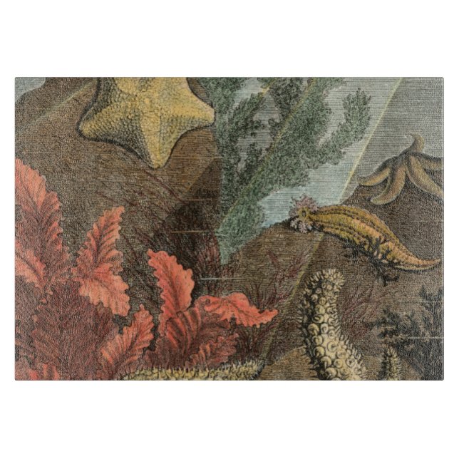 Tabla De Cortar Bajo el mar (Anverso)