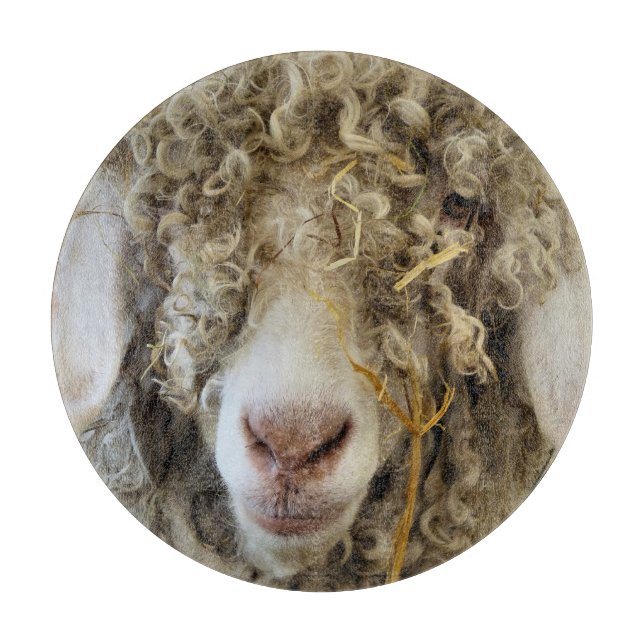 TABLA DE CORTAR BARBA (Anverso)