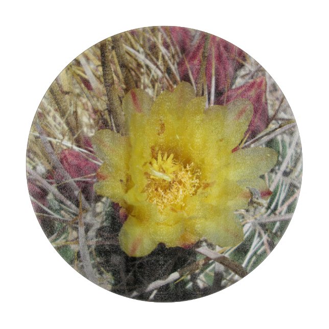 Tabla De Cortar Barrel Cactus Fishgancho Amarillo (Anverso)