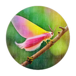 Tabla De Cortar Belleza del ala arco iris