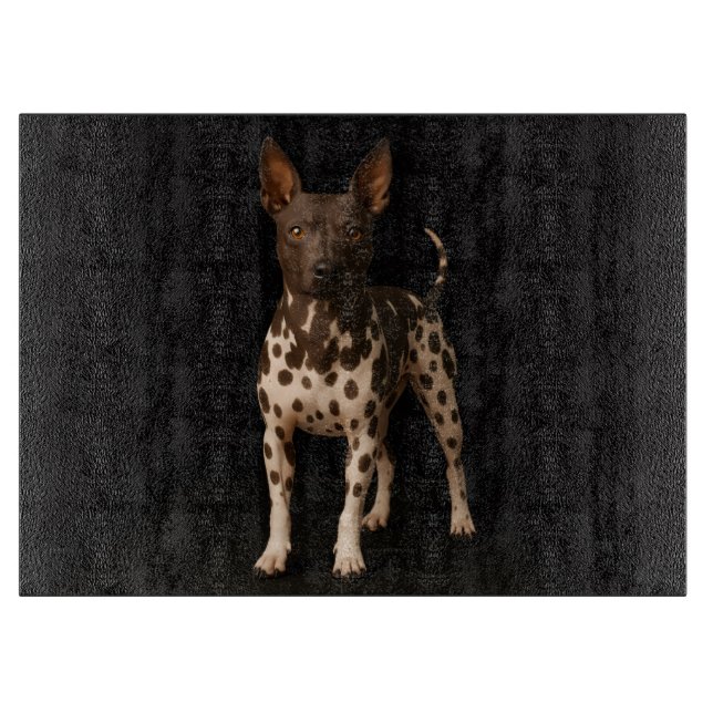 Tabla De Cortar Black 4 Luxe Glass cutting board Hairless Terrier  (Anverso)
