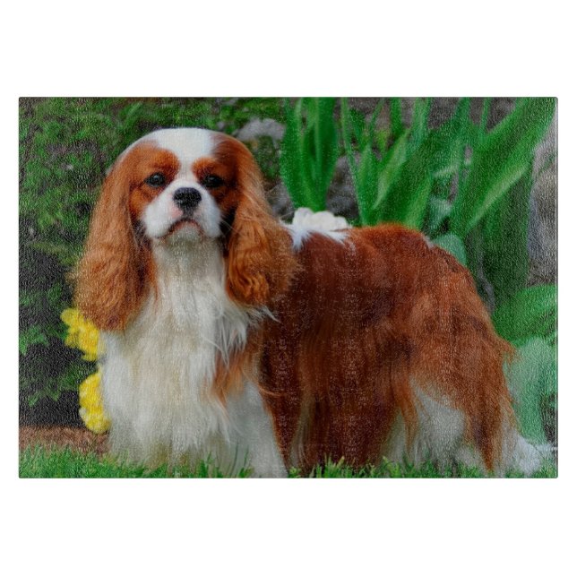 Tabla De Cortar Blenheim Cavalier King Charles Spaniel Perro Cacho (Anverso)