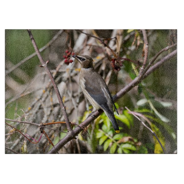 Tabla De Cortar Bohemian Waxwing, fotografía canadiense aviar (Anverso)
