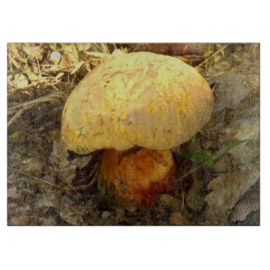 Tabla De Cortar Boletus torosus Mushroom Glopping Board