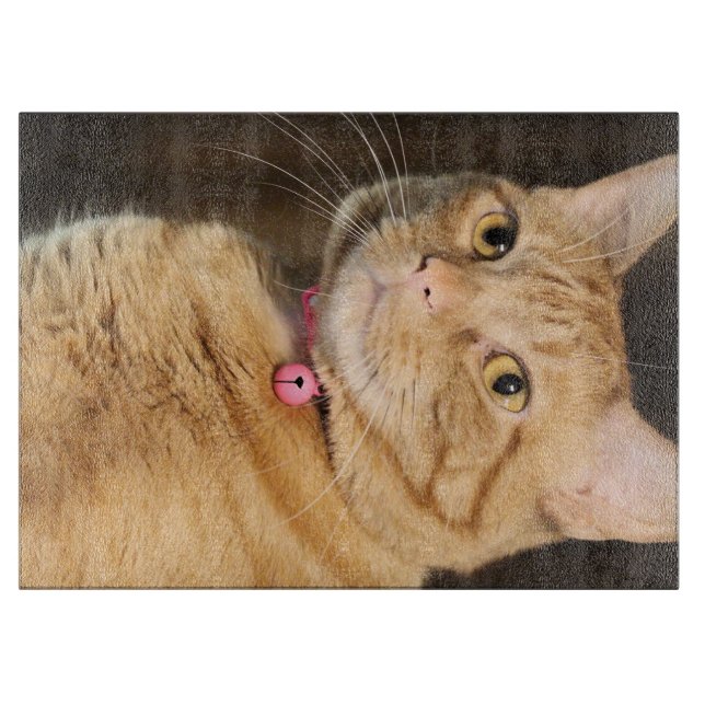 Tabla De Cortar Bonito Penny (Anverso)