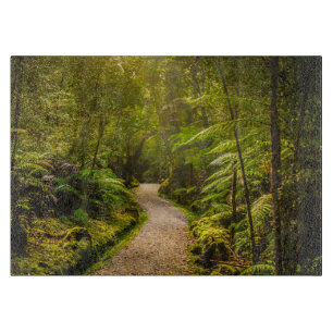 Tabla De Cortar Bosques   Camino al bosque
