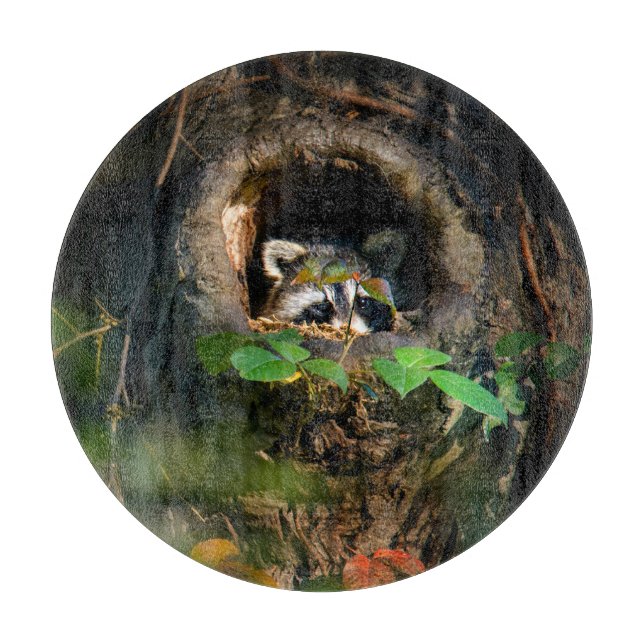 Tabla De Cortar Bosques | Raccoon Peeking (Anverso)
