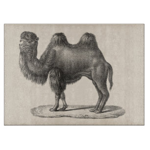 Tabla De Cortar Brodtmann Camel Sketch