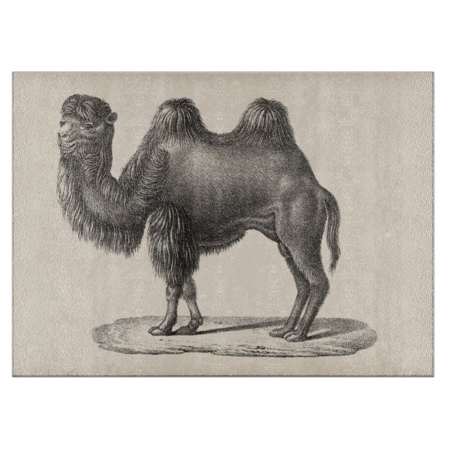 Tabla De Cortar Brodtmann Camel Sketch (Anverso)