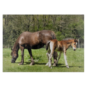 TABLA DE CORTAR CABALLOS