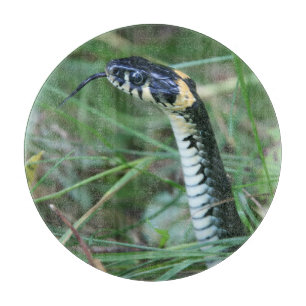 Tabla De Cortar Cabeza de serpiente