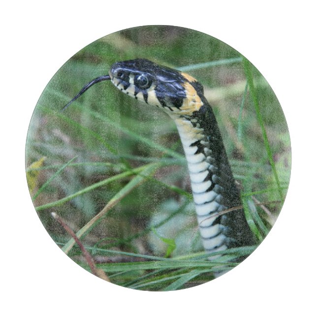 Tabla De Cortar Cabeza de serpiente (Anverso)