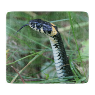 Tabla De Cortar Cabeza de serpiente