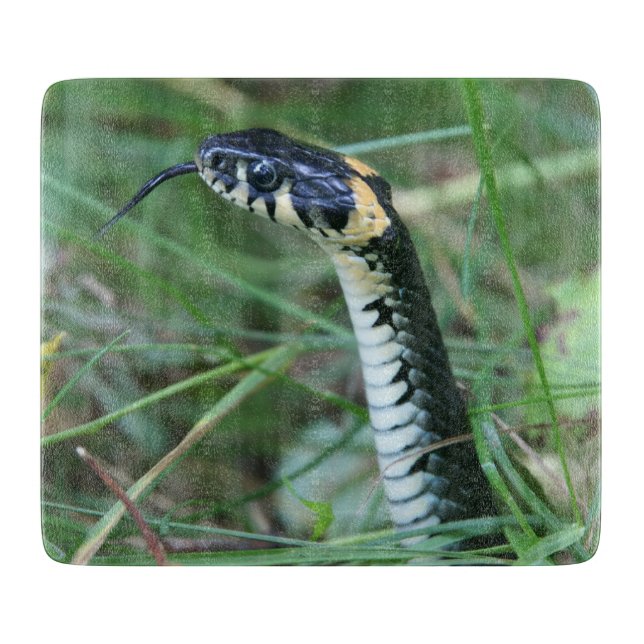 Tabla De Cortar Cabeza de serpiente (Anverso)