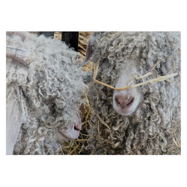 TABLA DE CORTAR CABRAS CUTAS (Anverso)
