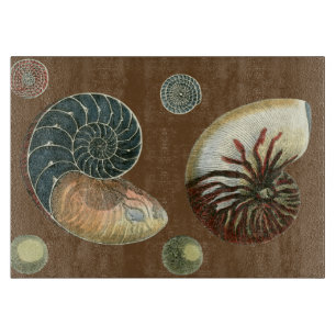 Tabla De Cortar Cacao Shell