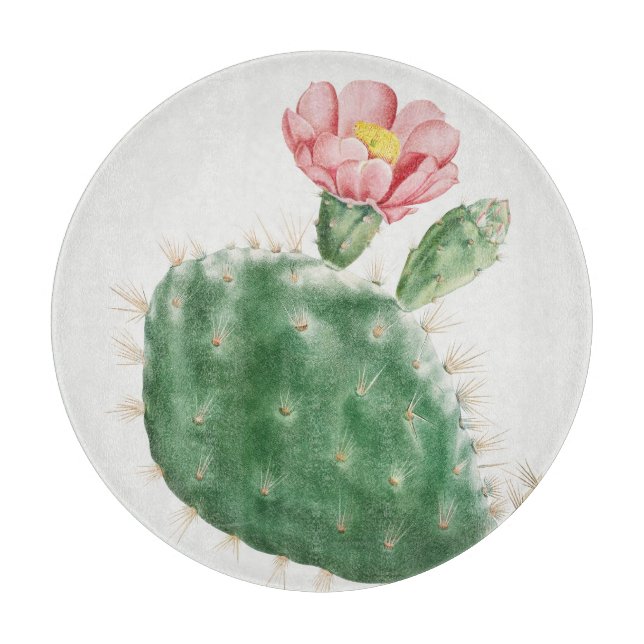Tabla De Cortar Cactus Cochenillifer, Ilustración Antigua, 1799  (Anverso)