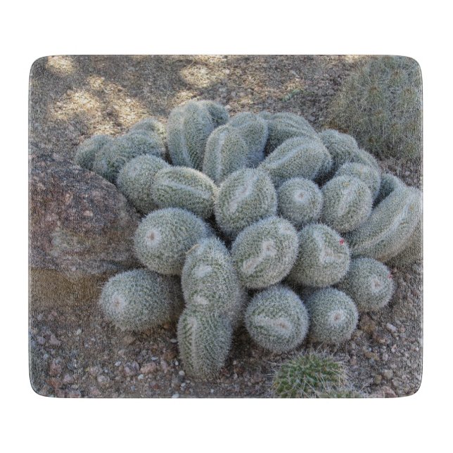 Tabla De Cortar Cactus sin nombre (Anverso)