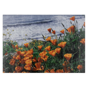 Tabla De Cortar California, Costa de Big Sur, Amapola de Californi
