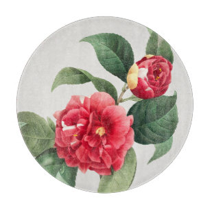 Tabla De Cortar Camelia Variada, Pierre-Joseph Redouté, 1833