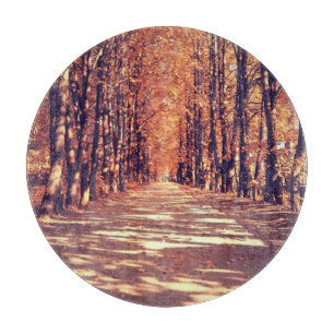 Tabla De Cortar Camino Forestal de Otoño: Tranquilo viaje paisajís