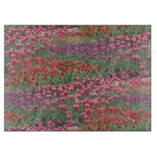 Tabla De Cortar Campo De Tulipanes