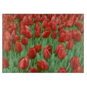 Tabla De Cortar Campo de tulipanes florece en primavera.