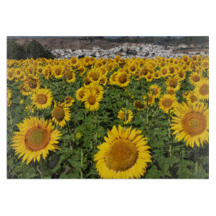Tabla De Cortar Campos de girasol, ciudad de Bornos, en una colina