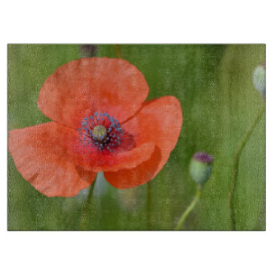 Tabla De Cortar Cartel para cortar amapola