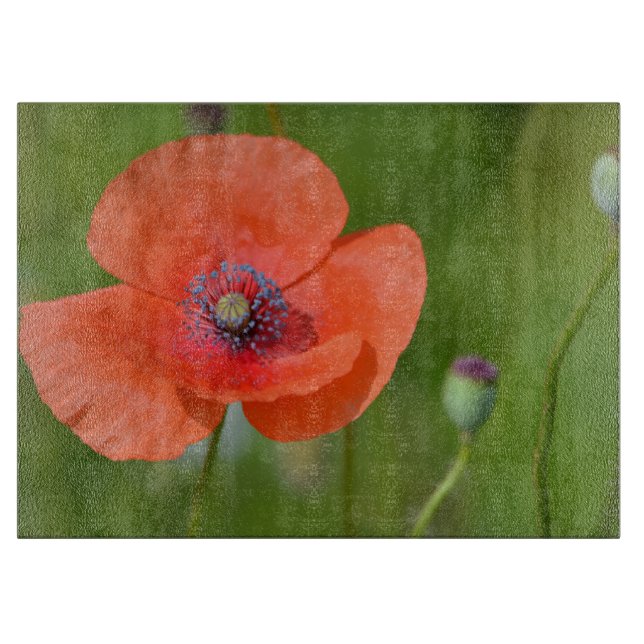 Tabla De Cortar Cartel para cortar amapola (Anverso)